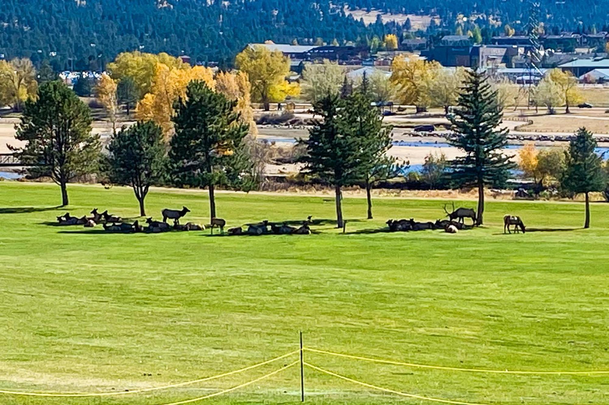 Fairways & 14Ers Villa Estes Park Exterior foto